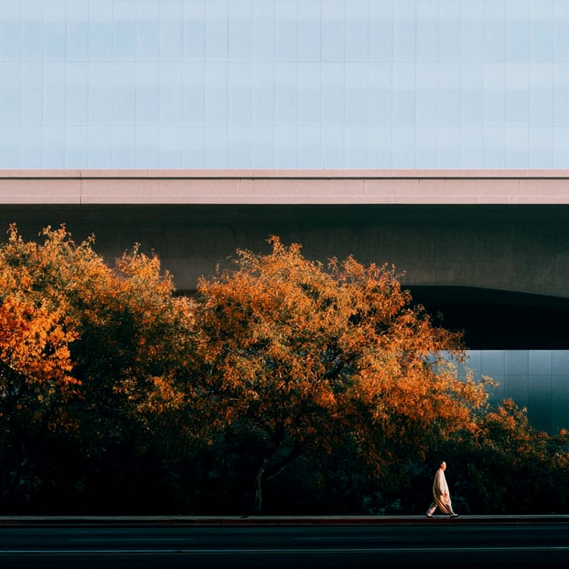 Landscape & Nature LUT pack cover
