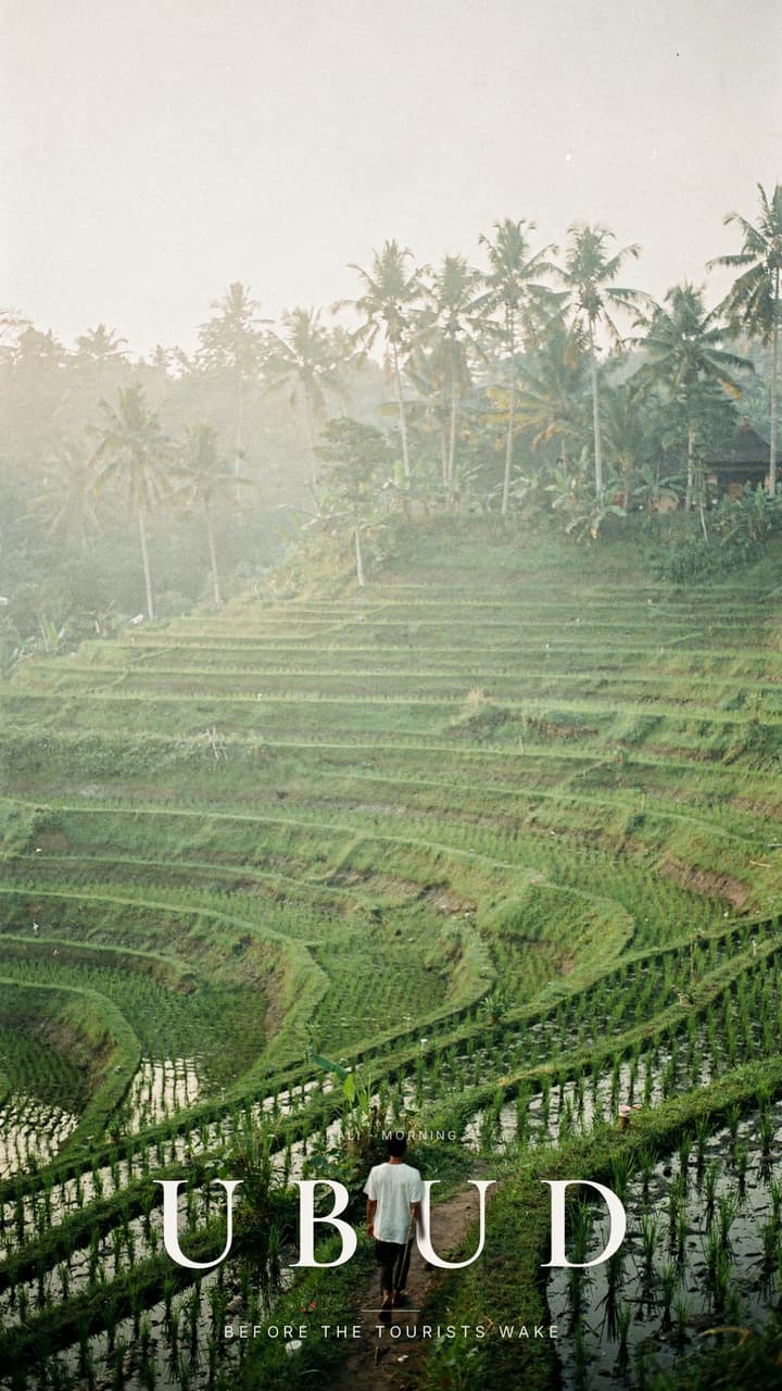 9:16 export, Ubud